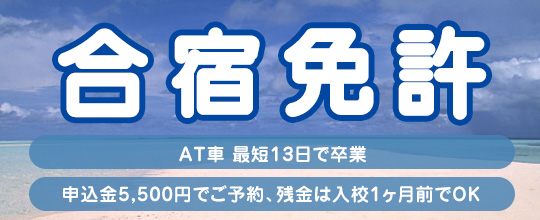 運転免許　お問い合わせ